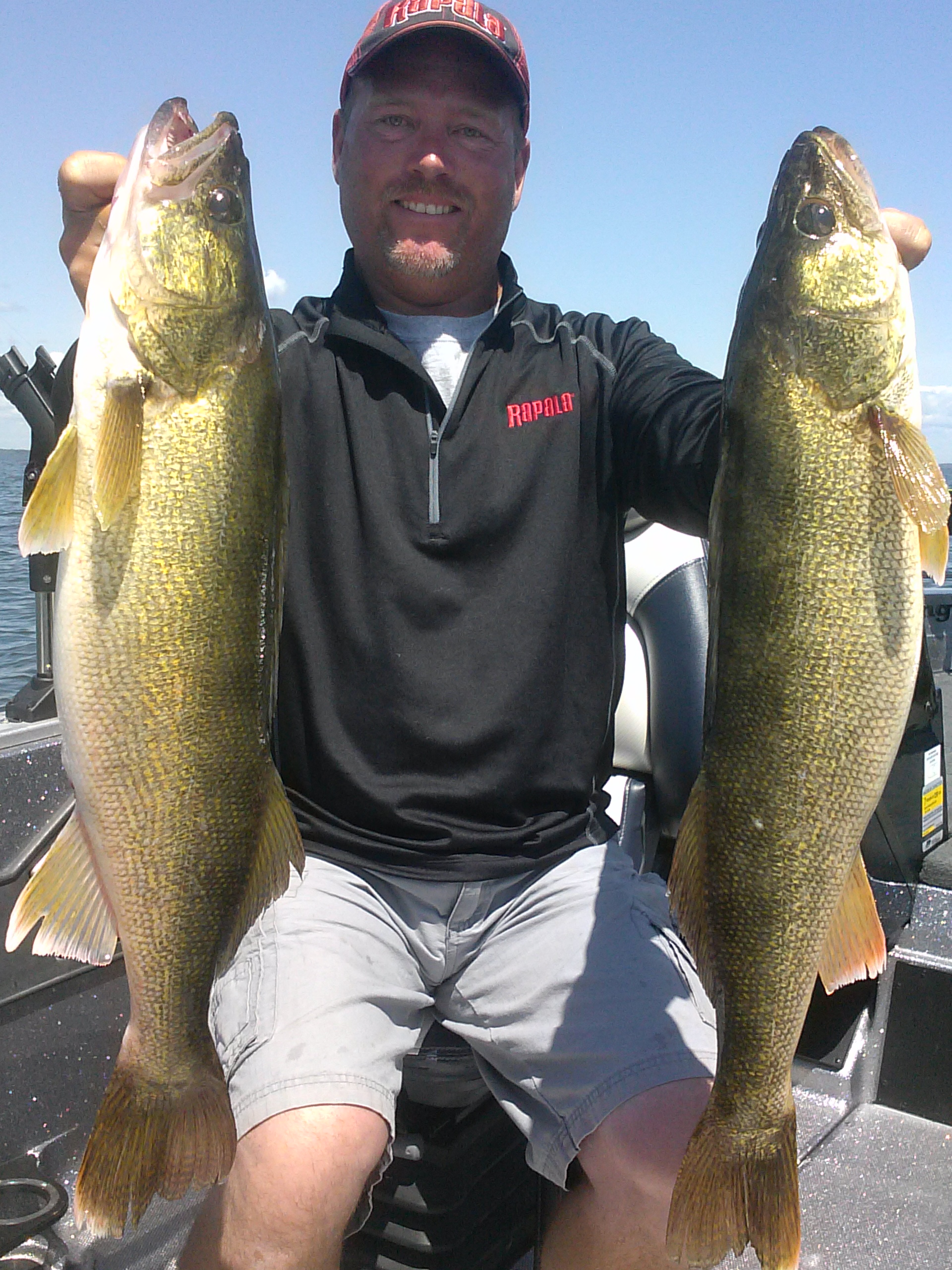 walleye walleyes