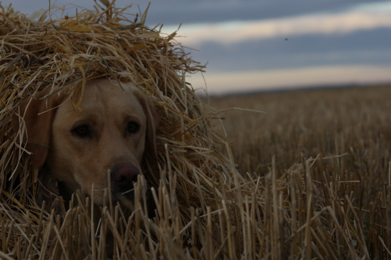 Photo by Mark Brendemuhl Avery Outdoors