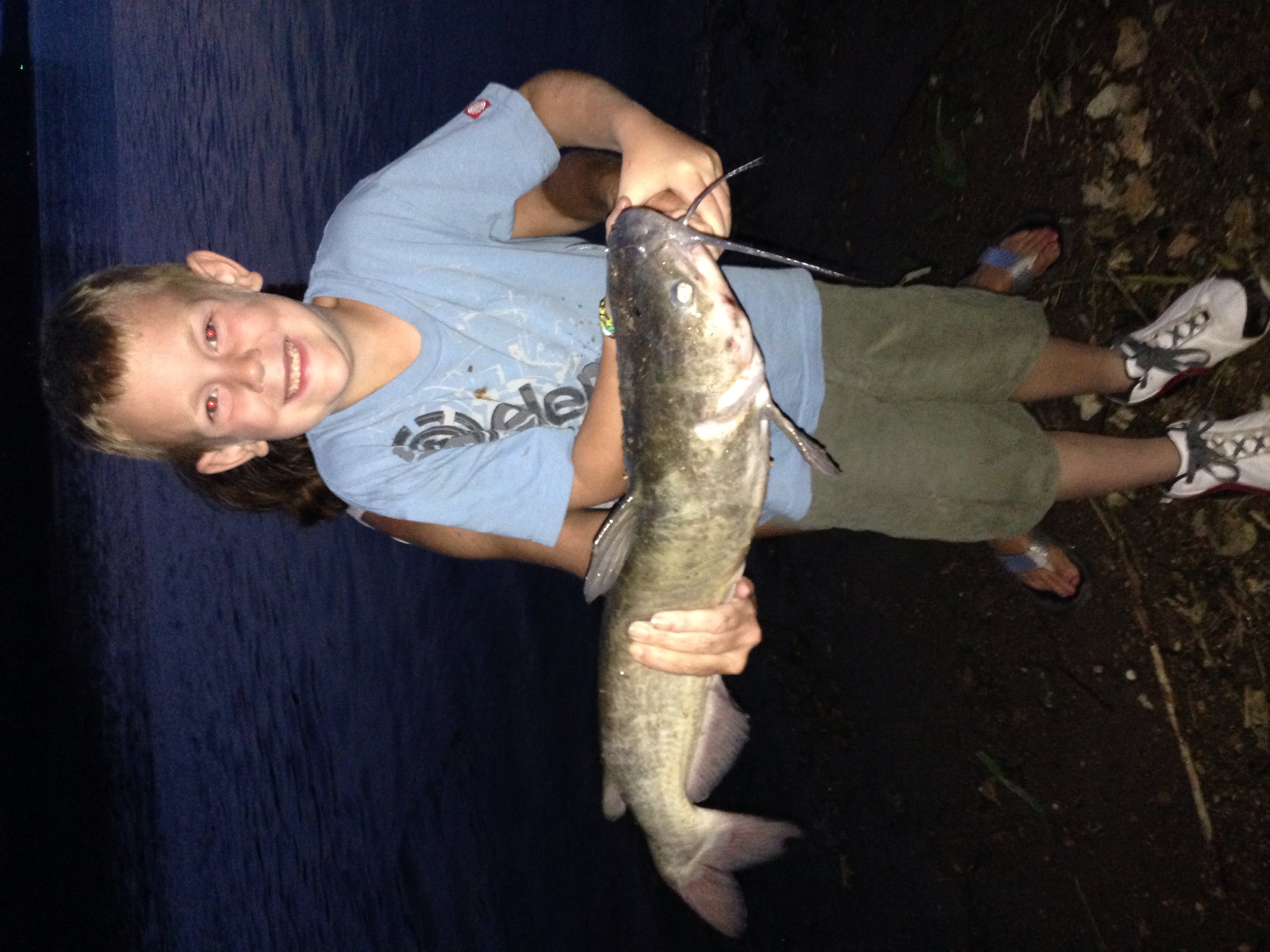 Sudden Impact Catfish Bait
