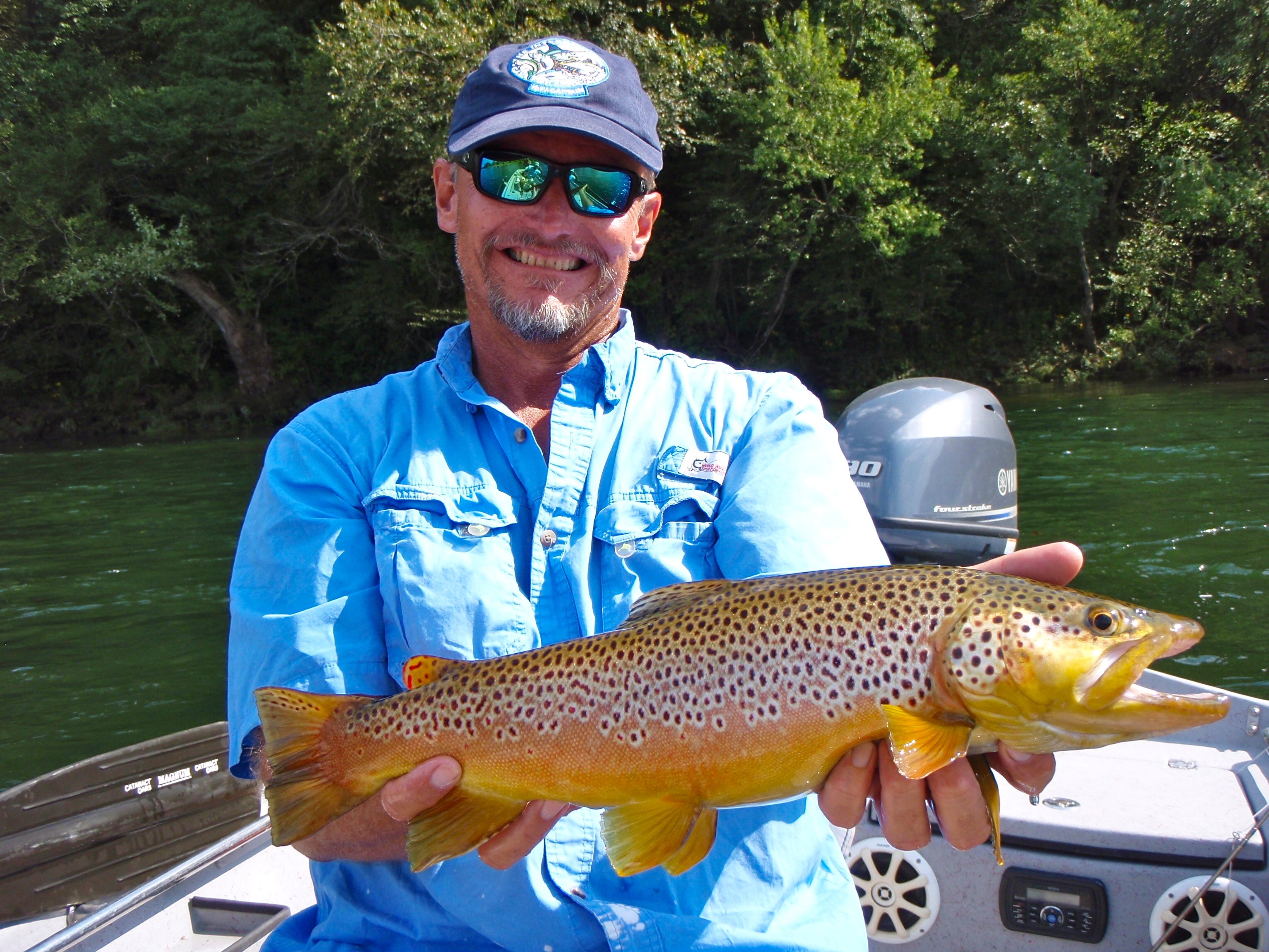 Arkansas White River Brown Trout – Hopper fishing with fly rod