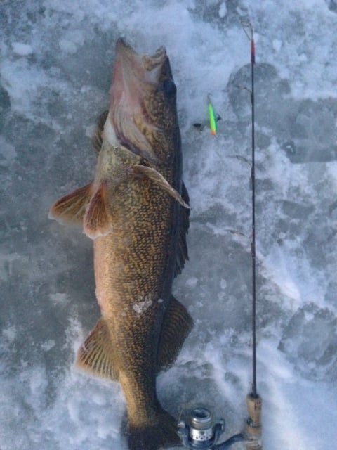 Any tips and tricks for catching northern pike through the ice - Ice Fishing  Forum - Ice Fishing Forum