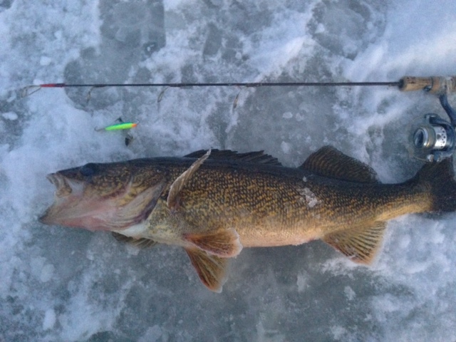 Any tips and tricks for catching northern pike through the ice - Ice Fishing  Forum - Ice Fishing Forum