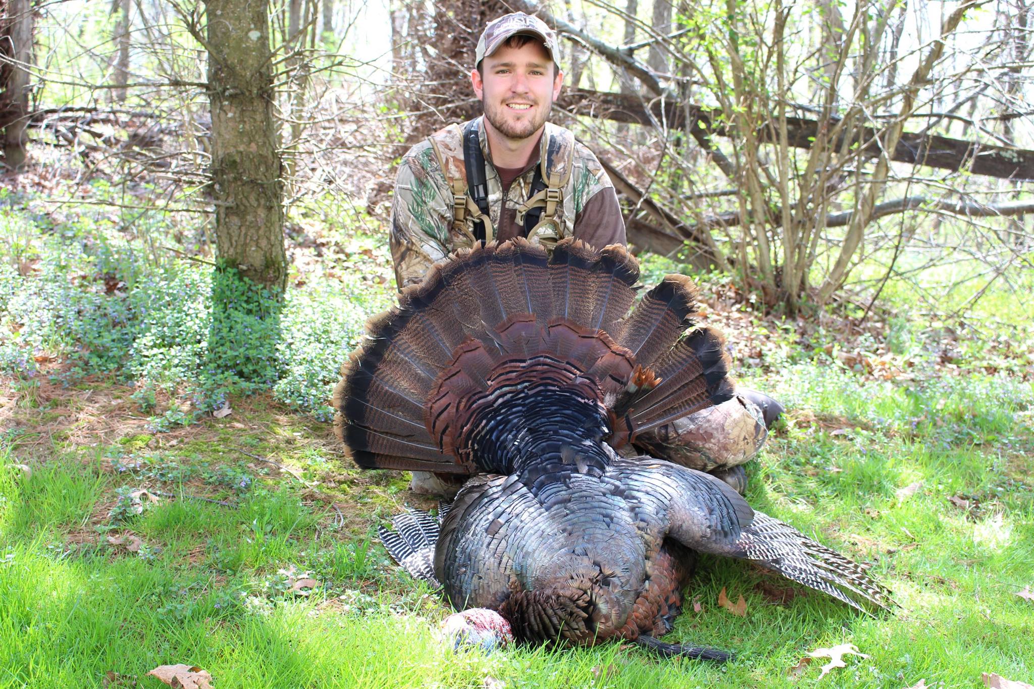 Opening Day In Maryland Turkey Hunting InDepth Outdoors