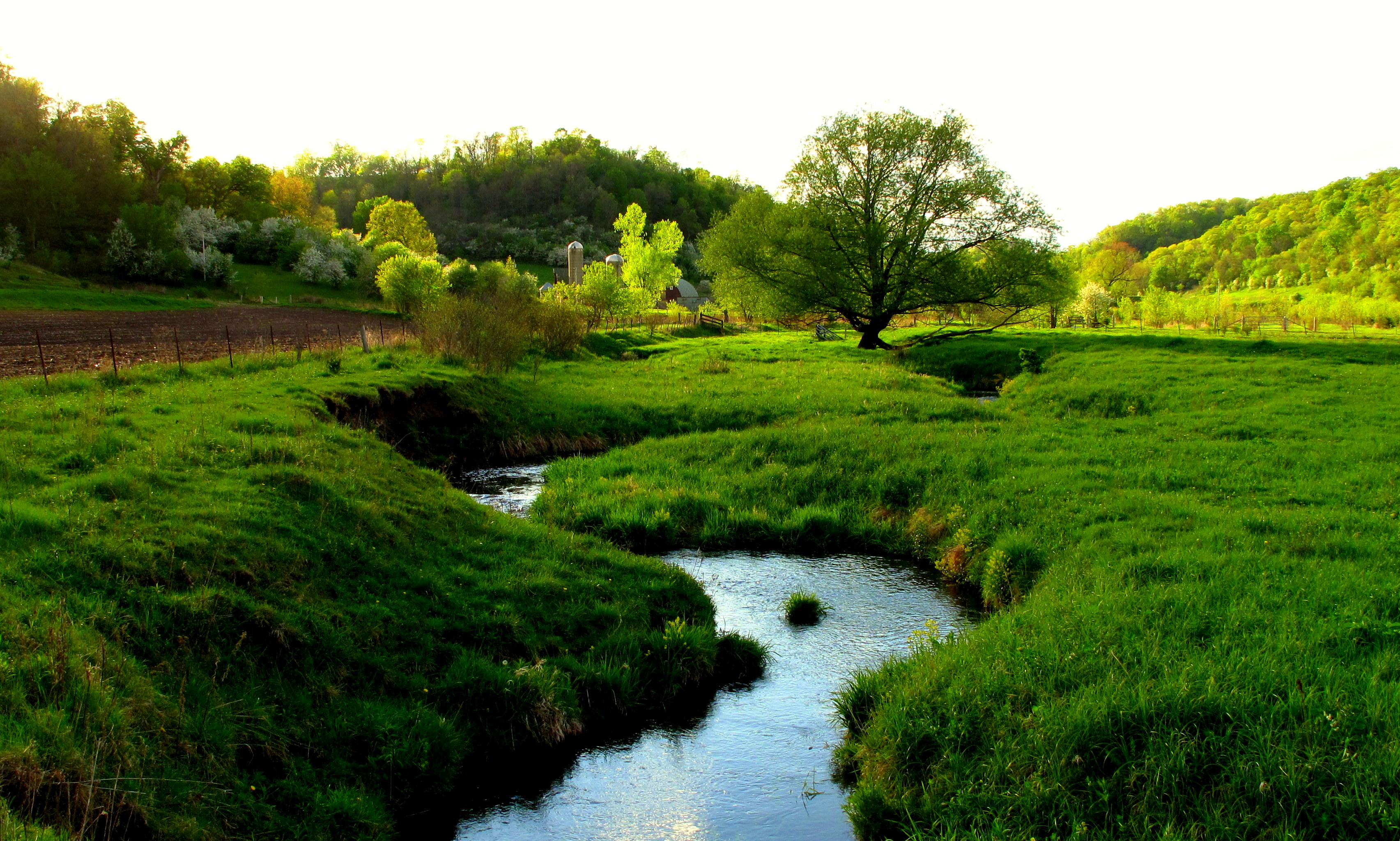 Spring Photos on the Fly - May Magazine | In-Depth Outdoors3409 x 2048