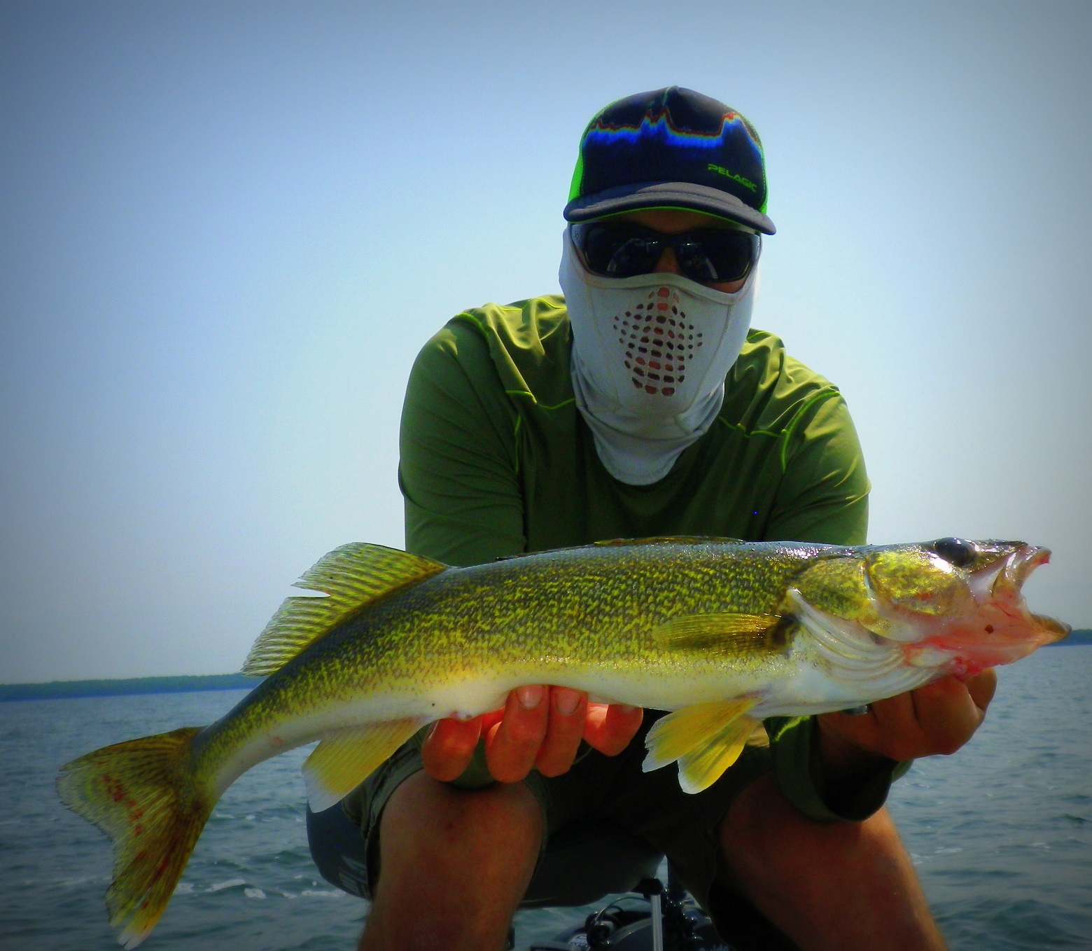 The Walleye of July- Leech Lake - Leech Lake - Leech Lake