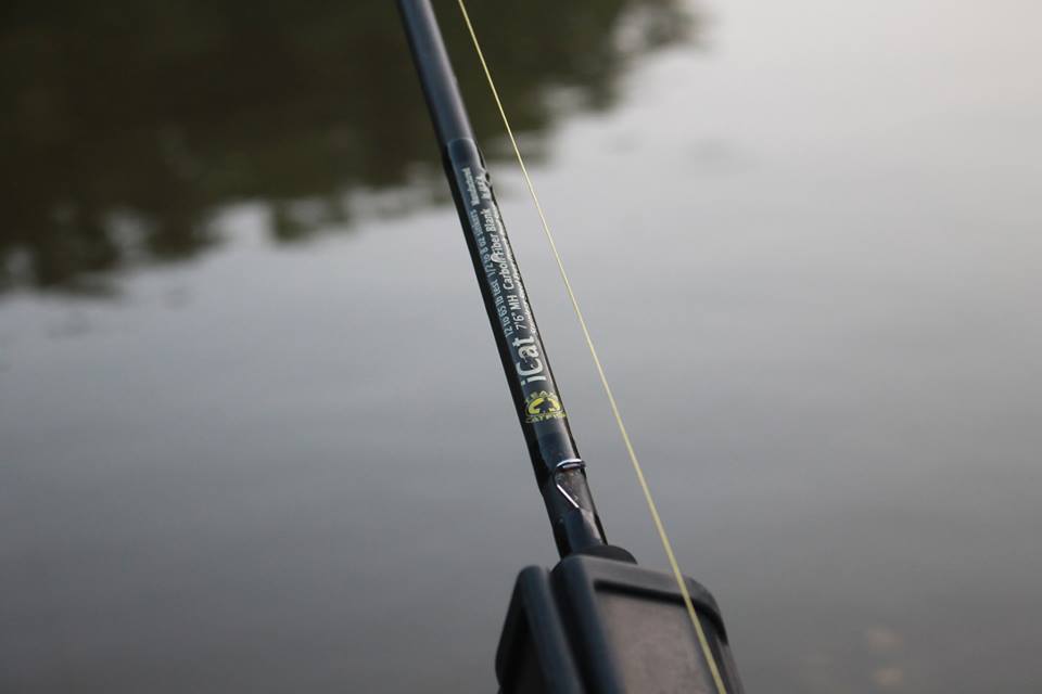 Sturgeon rods - Catfish & Sturgeon - Catfish & Sturgeon