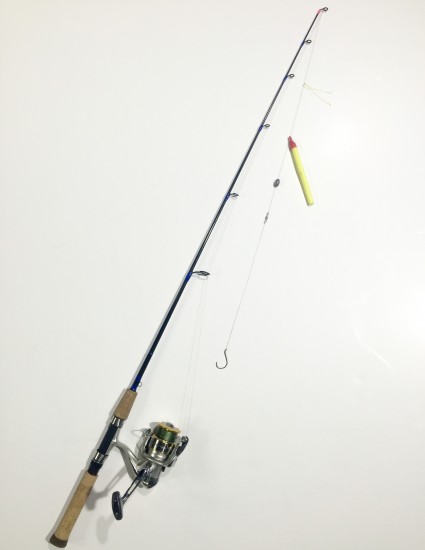 Sturgeon (1 of 2)