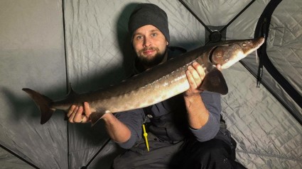 Sturgeon (12 of 14)