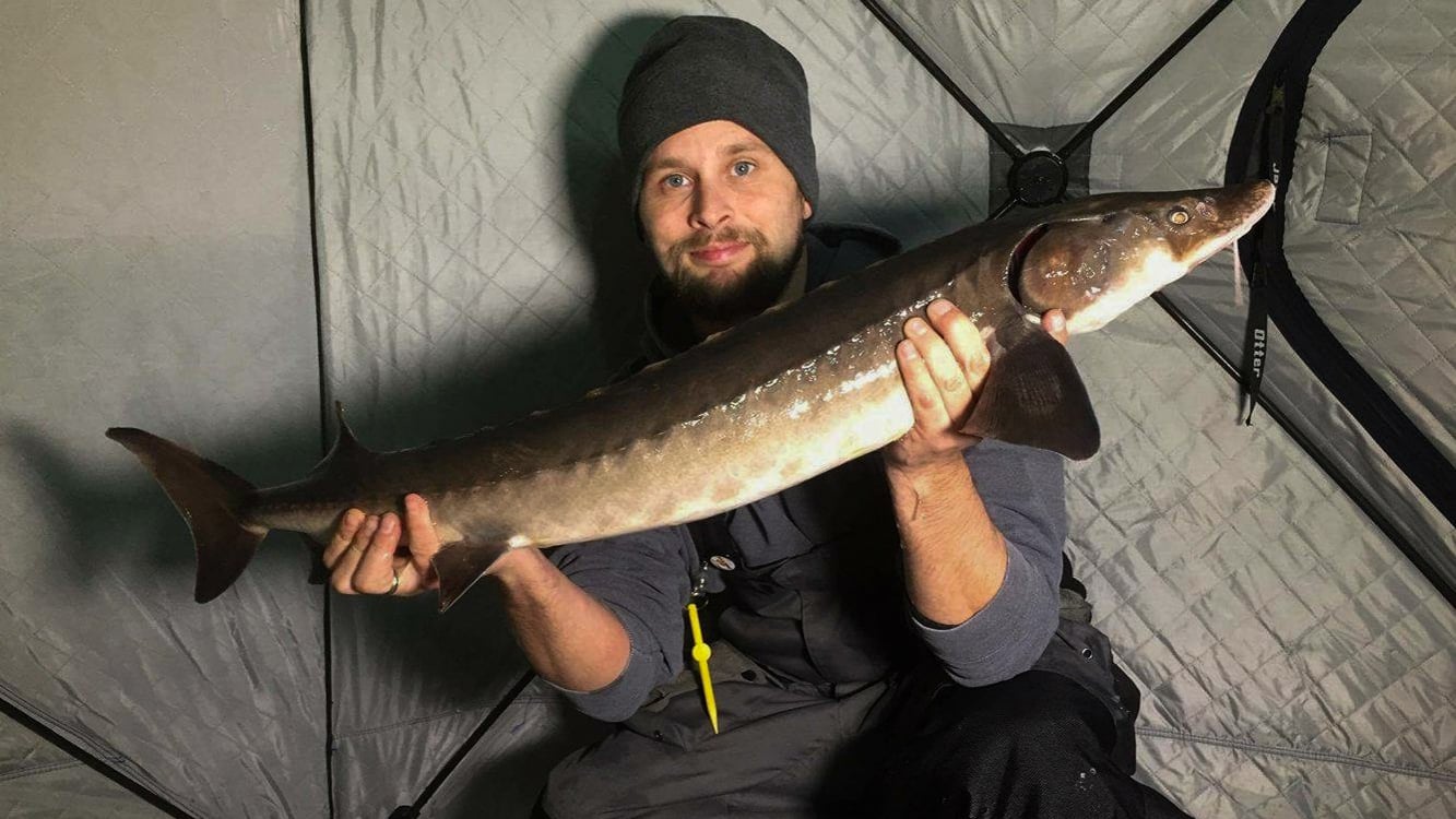 How to catch lake sturgeon through the ice – St. Croix 360