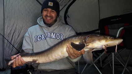 Sturgeon (14 of 14)