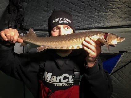 Sturgeon (5 of 14)