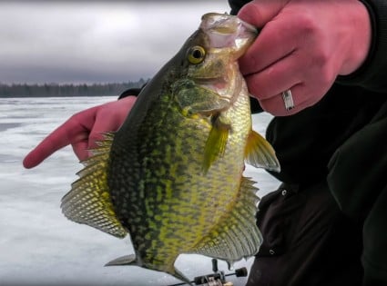 Ice Fishing  In-Depth Outdoors