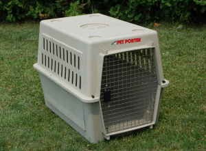 Extra large pet porter online