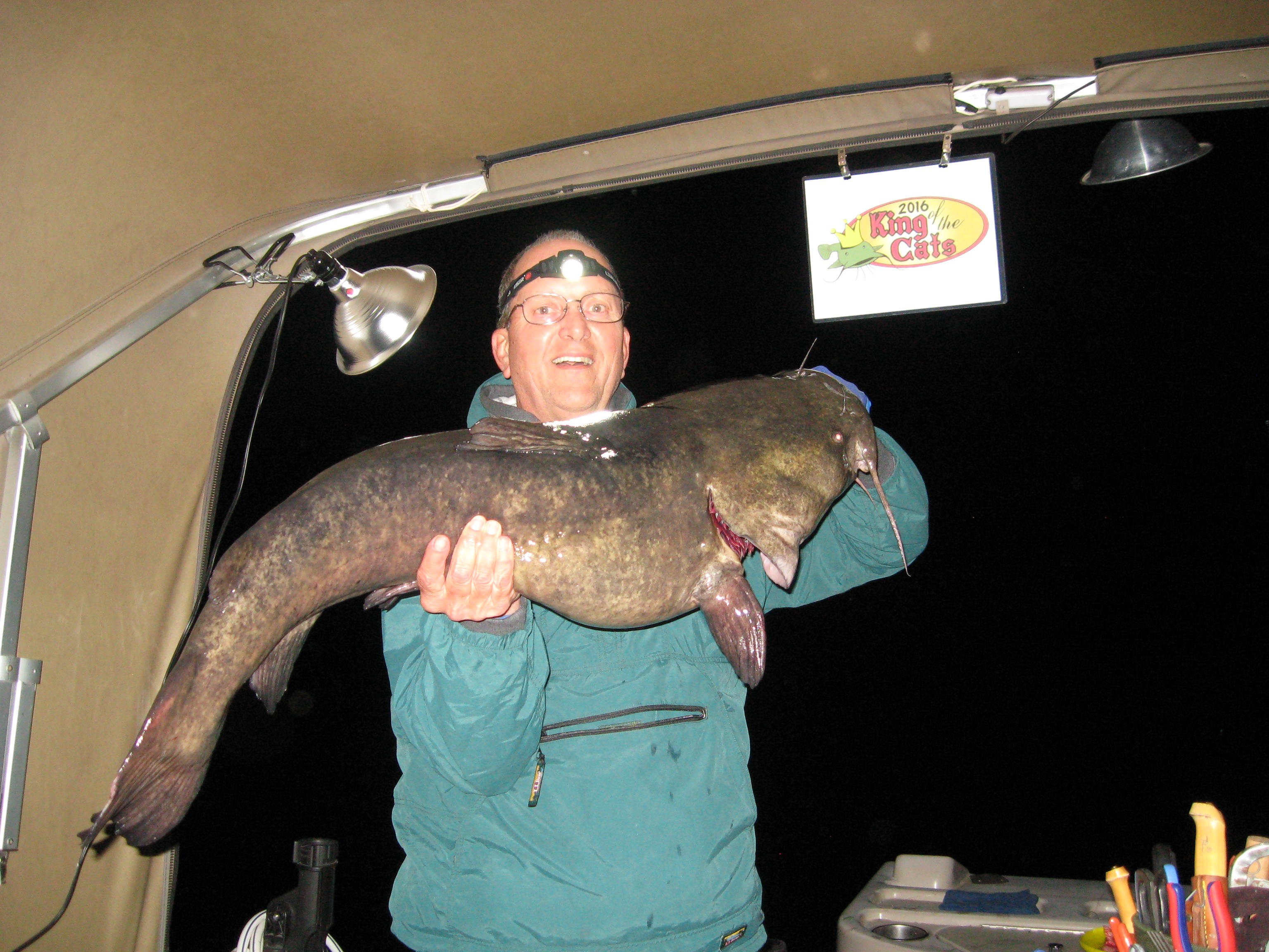 Flathead Catfish Tactics and Baits 