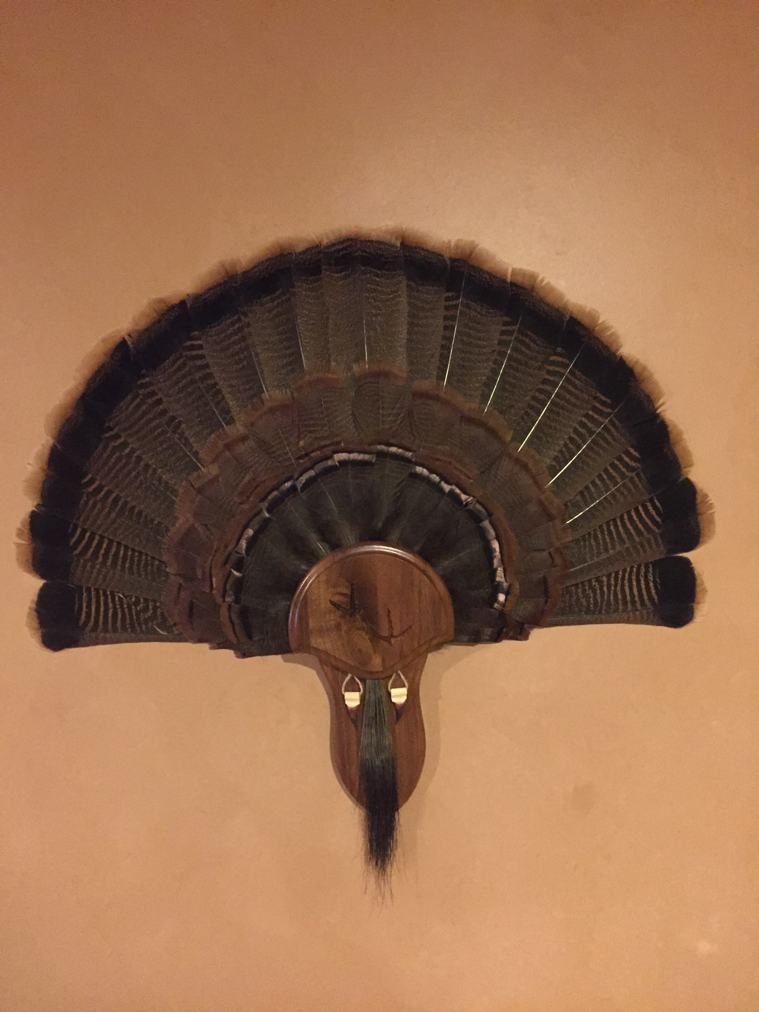 turkey-fan-plaque-template