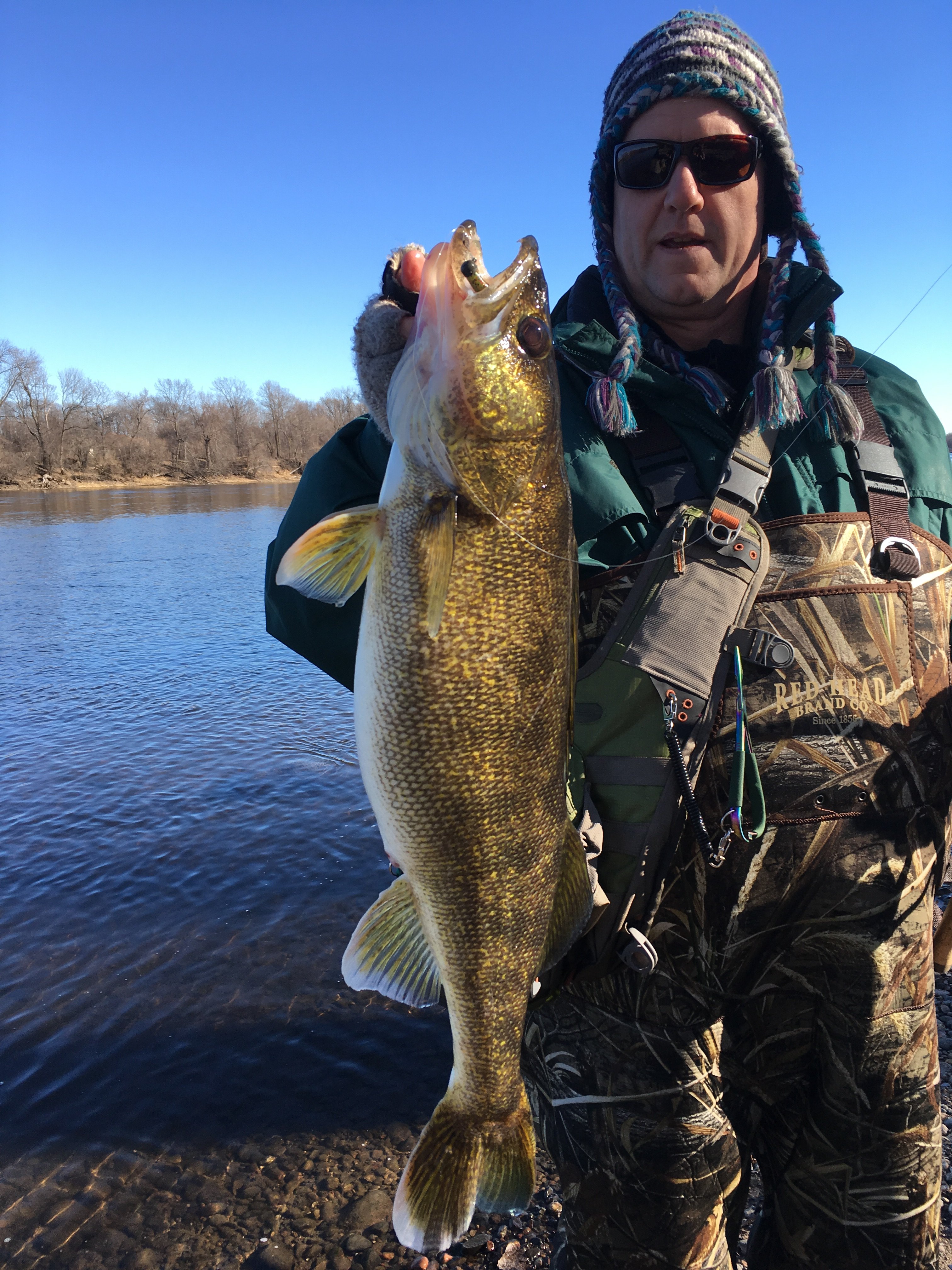 Ned rig for walleyes ? - General Discussion Forum - General Discussion  Forum