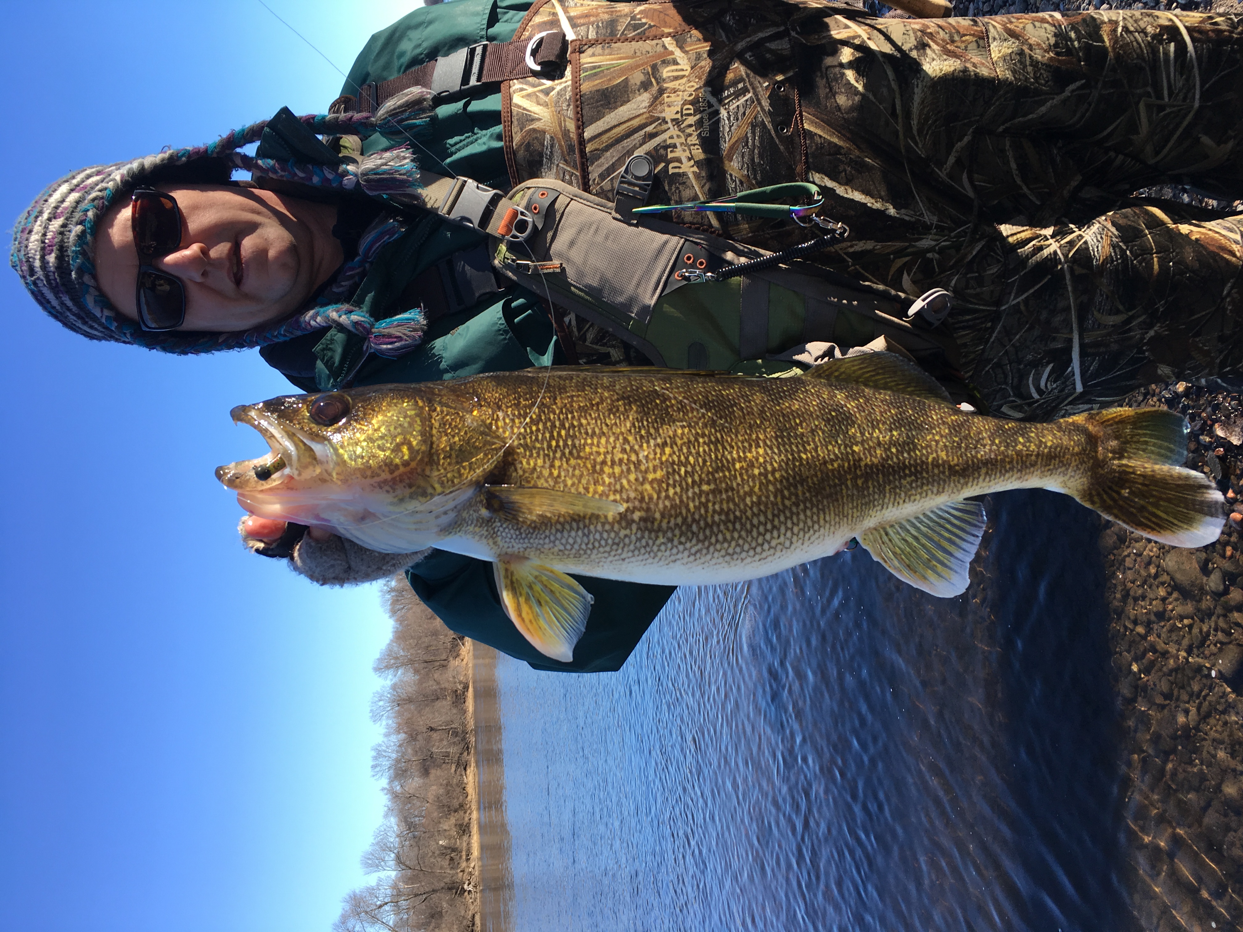 Ned rig for walleyes ? - General Discussion Forum - General Discussion  Forum