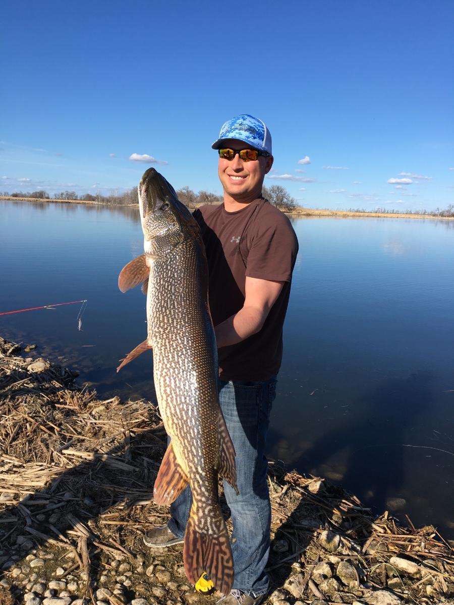 Devils Lake Pike General Discussion Forum InDepth