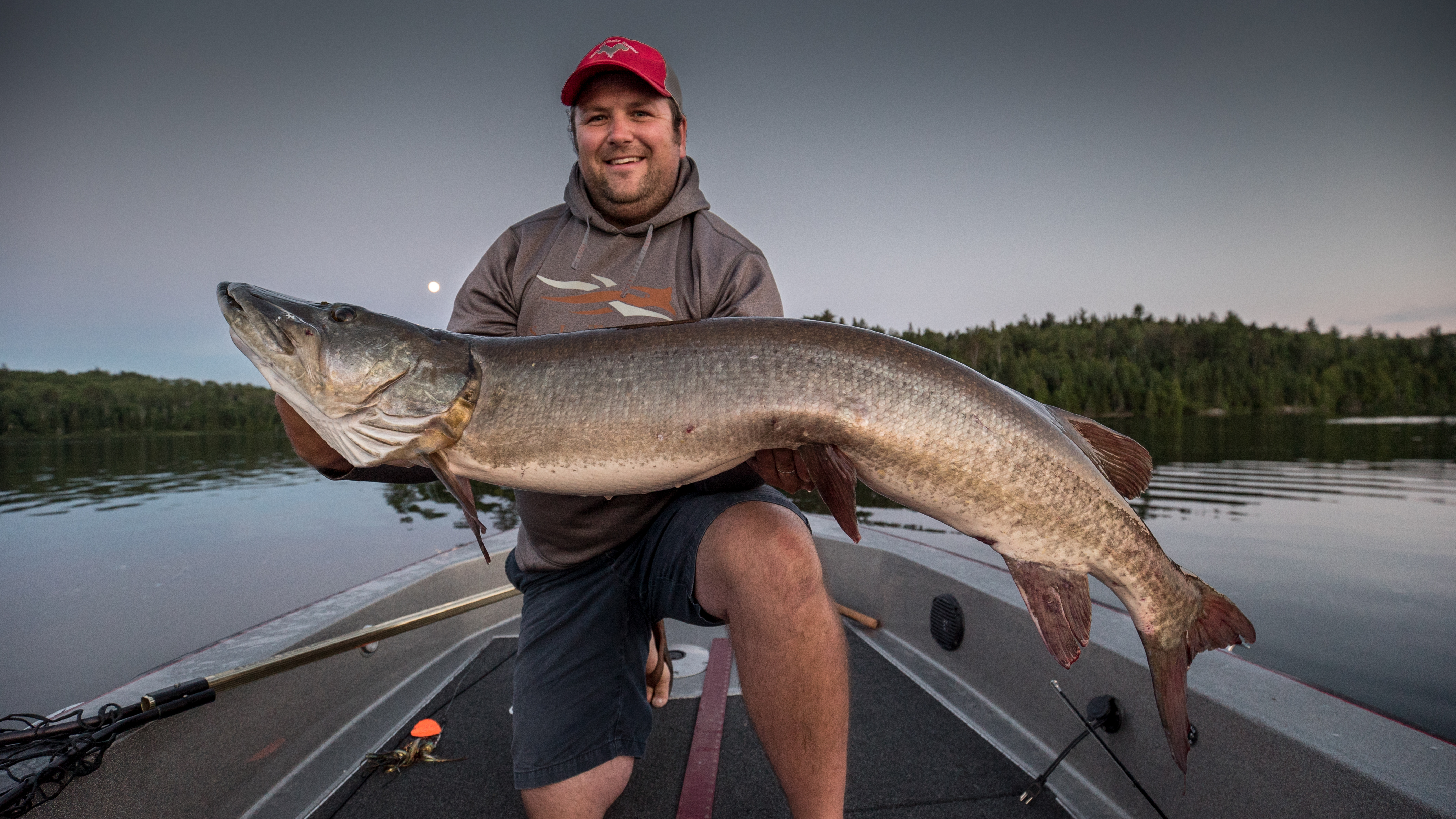 Night Fishing for Muskie: Understand Moonlight to Catch More Fish