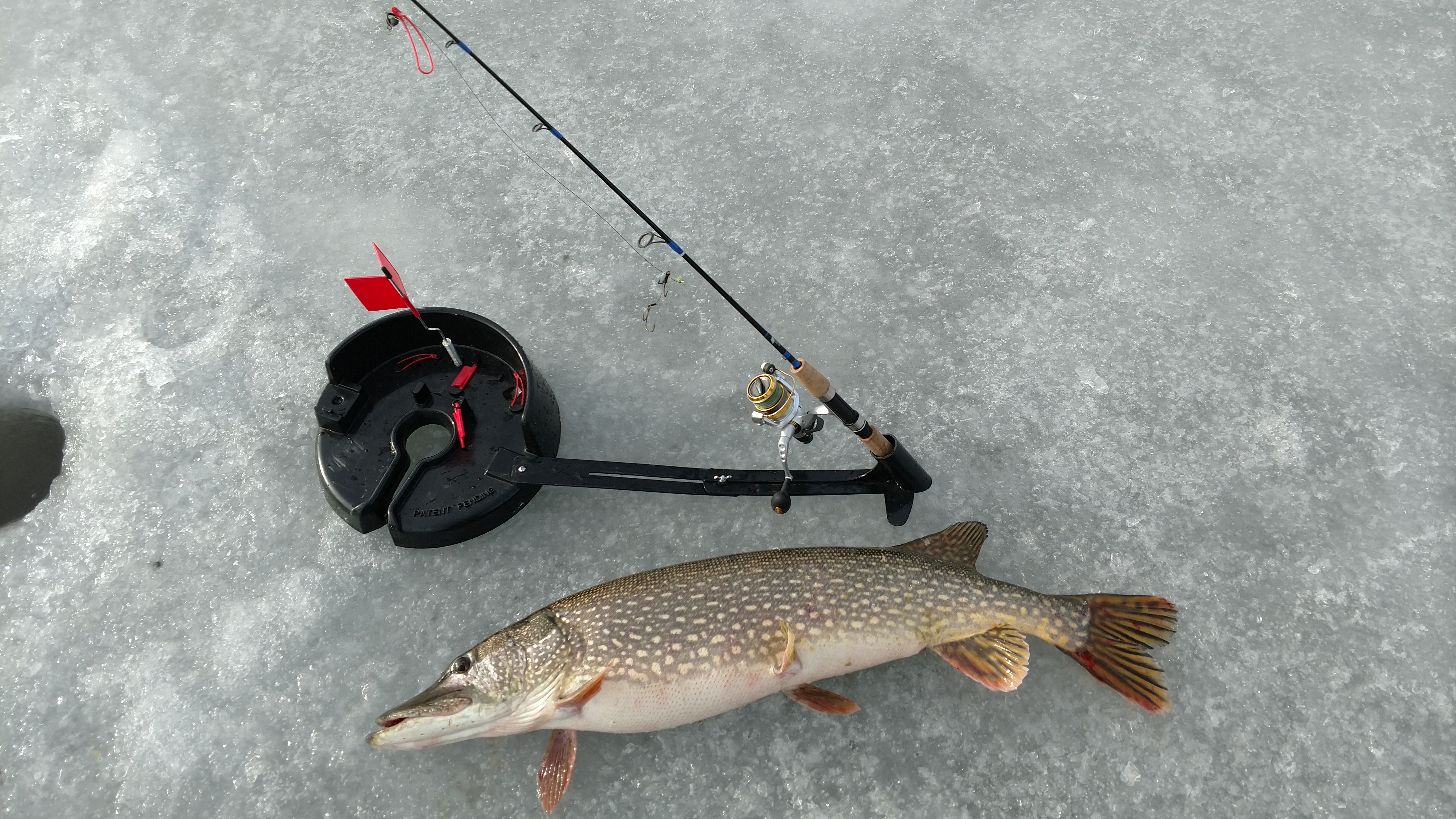 New rod from Tuned Up Custom Rods - Ice Fishing Forum - Ice