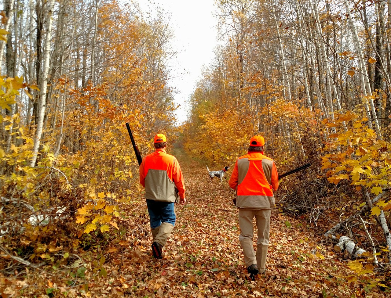 Grouse Opener this Sat Upland Game Hunting Pheasants, Quail