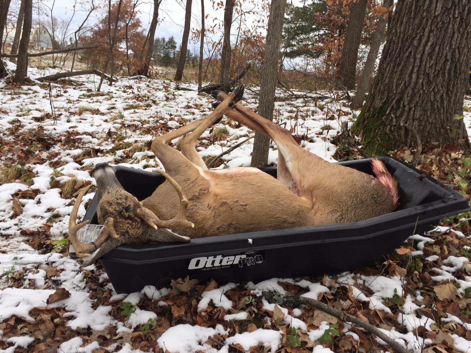 Deer woods sled otter haul do hunting