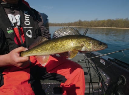 IDO Leech Lake