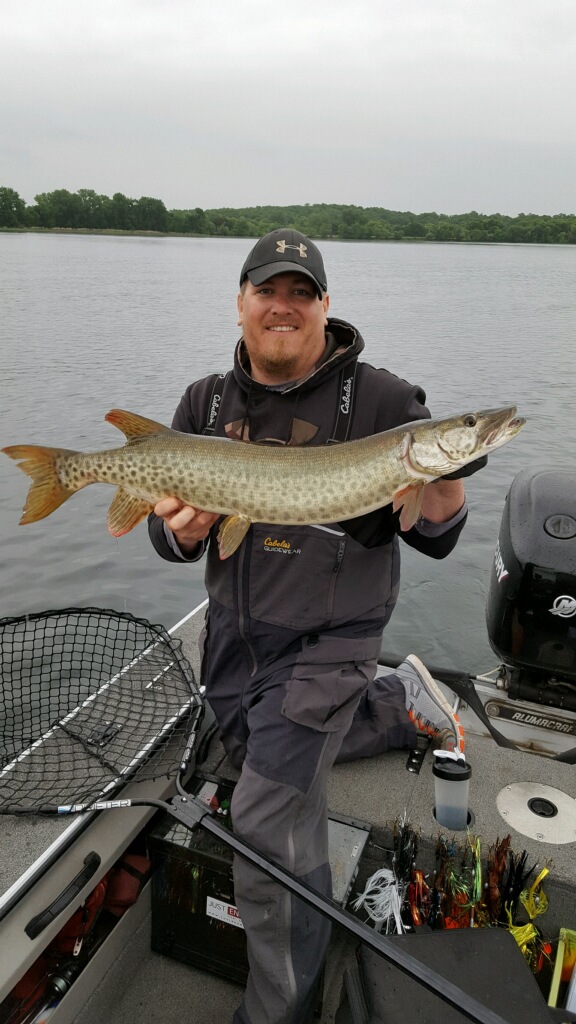 MN Musky opener Muskie & Pike Muskie & Pike InDepth Outdoors