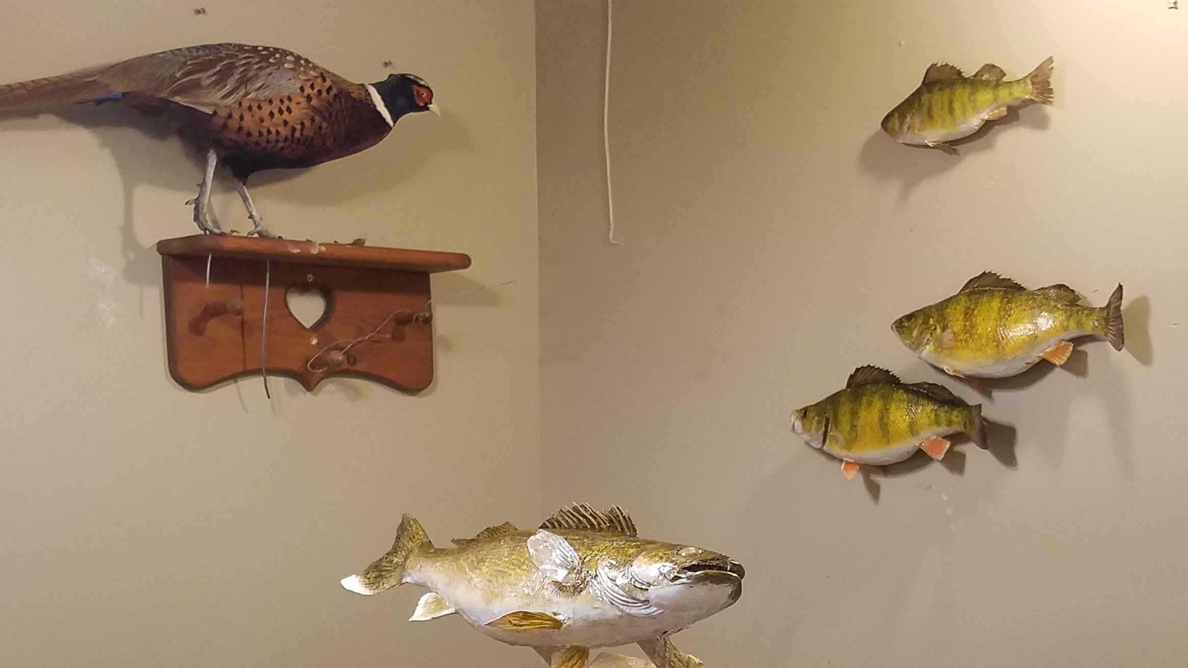 Perch Mount - Mille Lacs Lake - Mille Lacs Lake