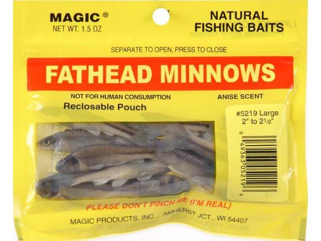 Anyone use frozen minnows - General Discussion Forum - General