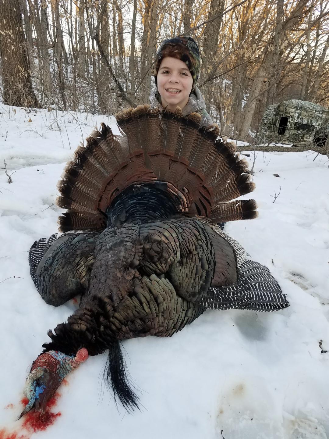 MN Turkey A/B Season Draw. Turkey Hunting InDepth Outdoors