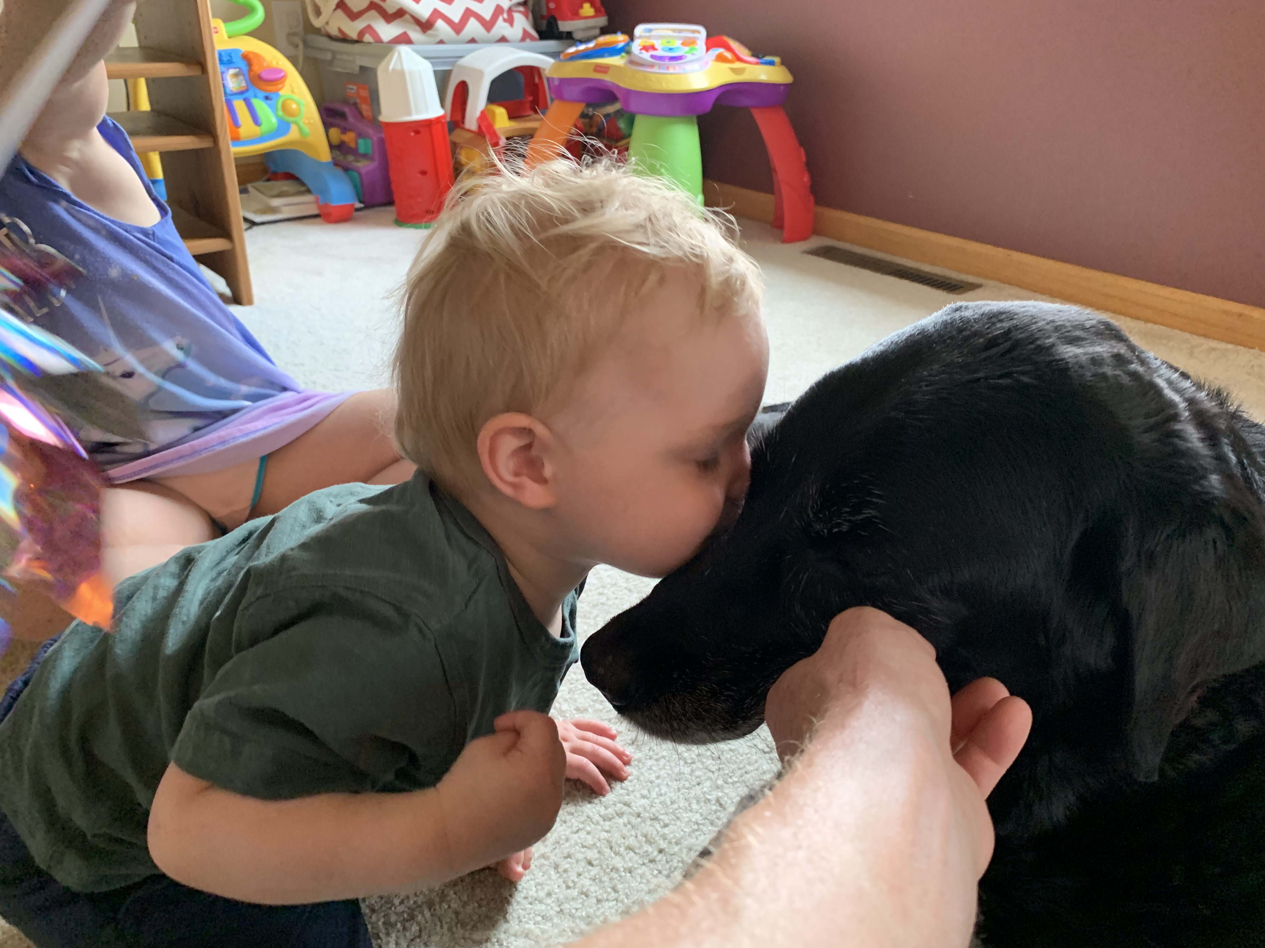 Does Grain Free Dog Food Cause Heart Murmurs