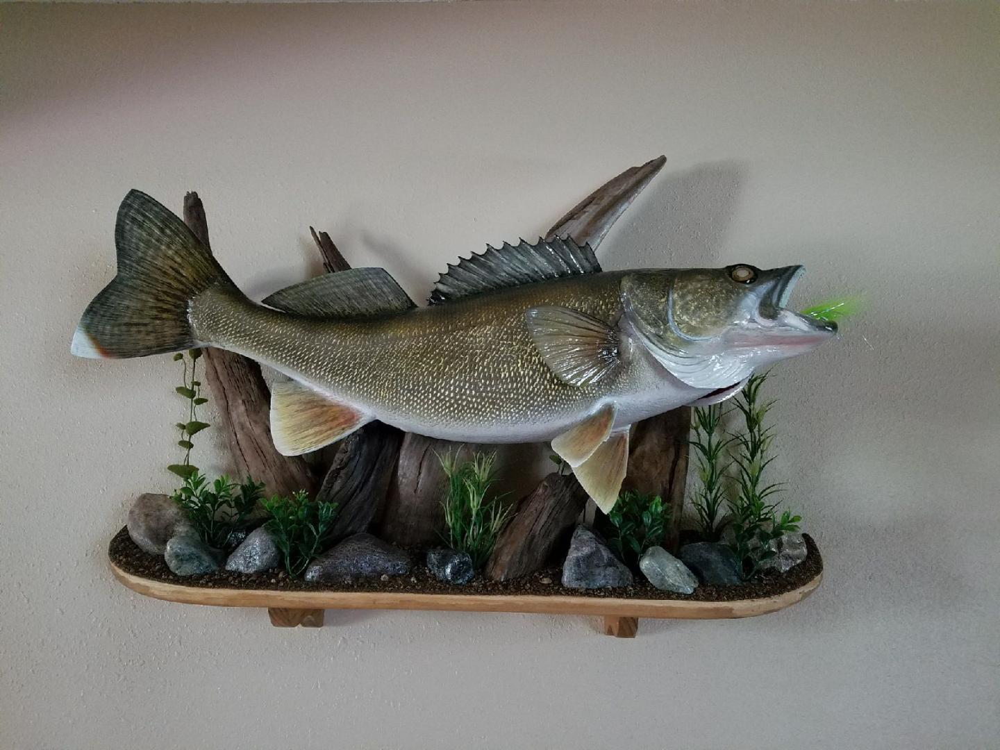 Walleye Replica - General Discussion Forum - General Discussion
