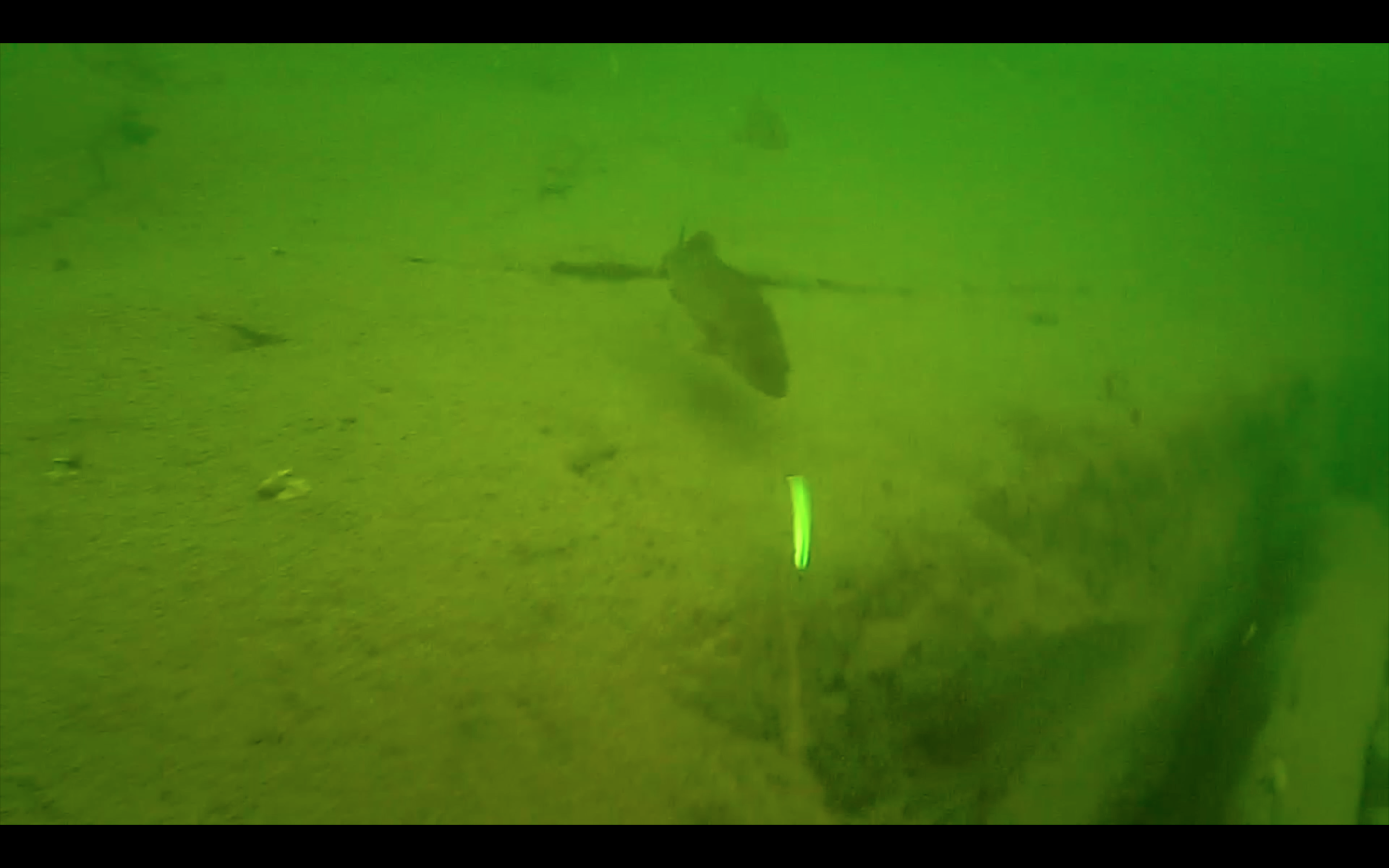 walleye underwater camera