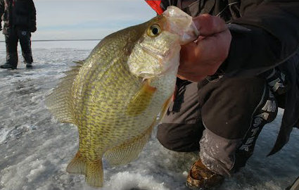 Southern Wisconsin's Early Spring Crappies