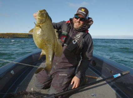 Smallmouth Bass, Species