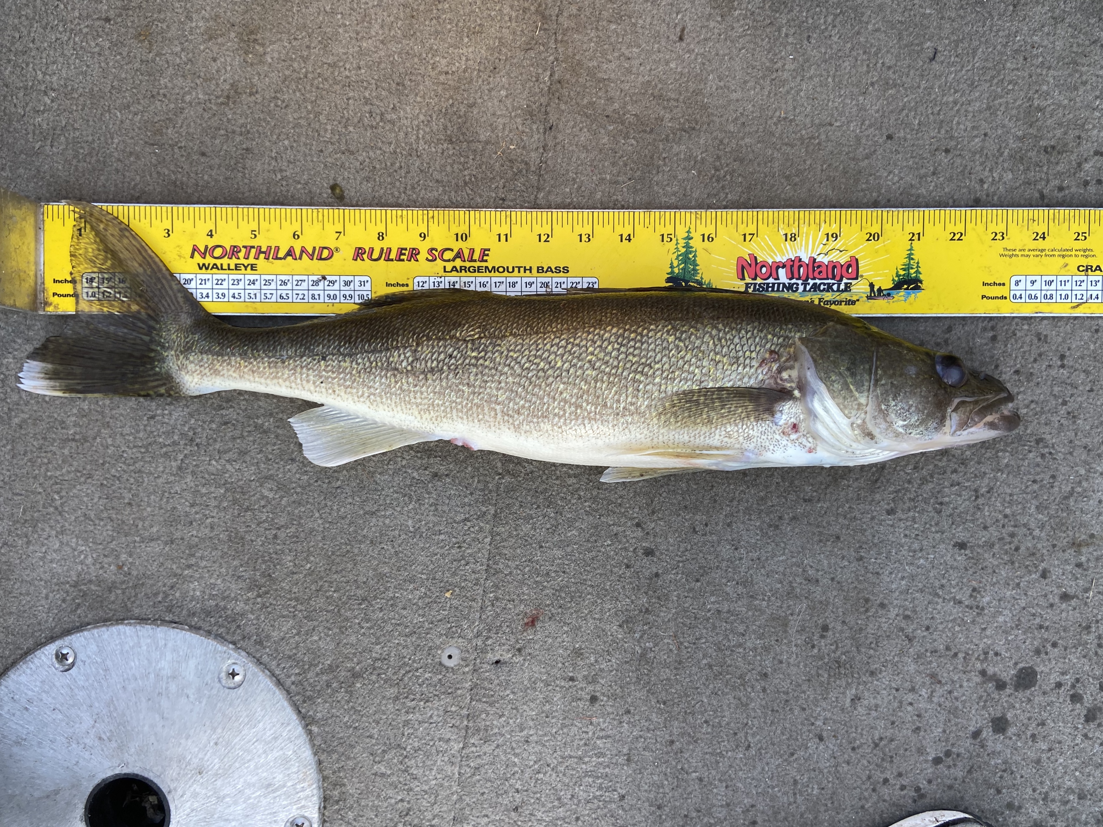 July Leech Report - Leech Lake - Leech Lake