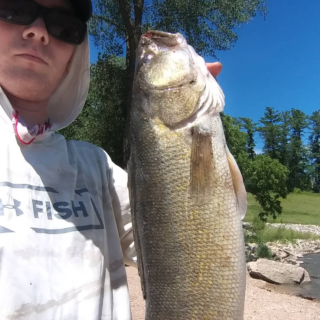 Iowa walleye InDepth Outdoors