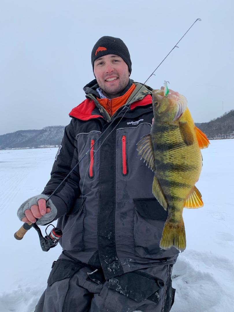 Perch on a Tear on Pool 8 - Ice Fishing Forum - Ice Fishing Forum