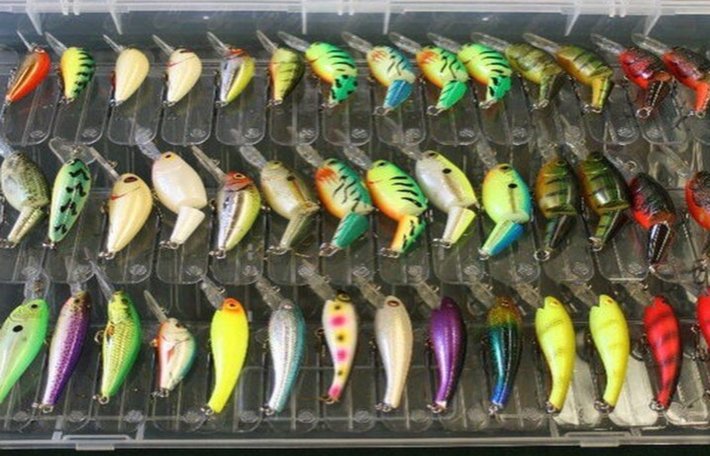 Crank bait organizer? - General Discussion Forum - General Discussion Forum