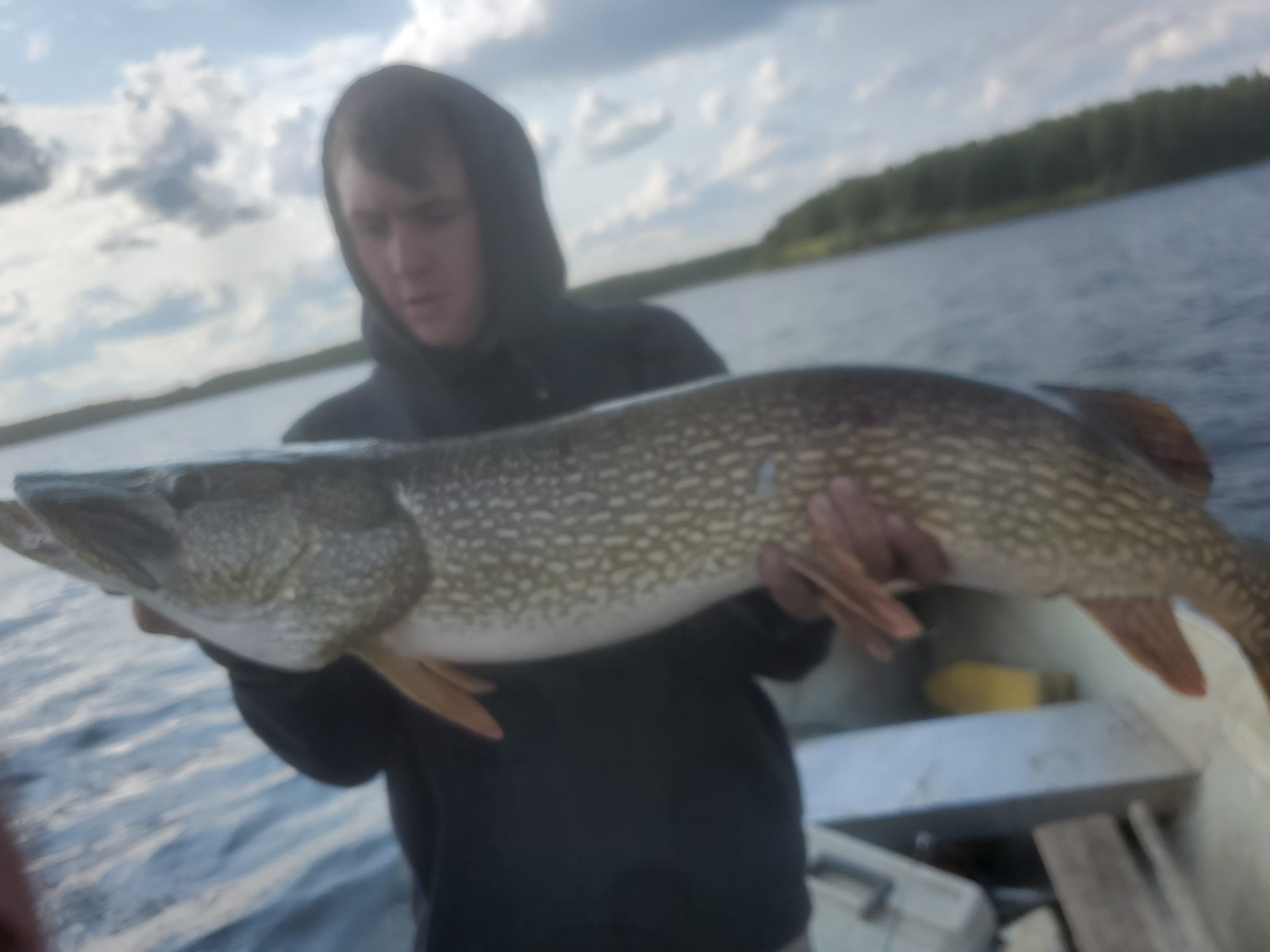 pike-weight-estimate-muskie-pike-in-depth-outdoors