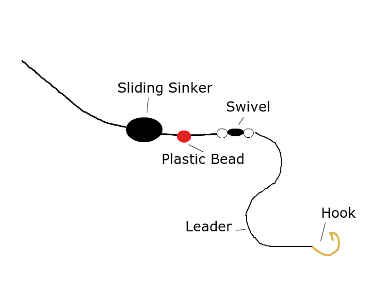 Carolina Rig & Floating Trout Worm - Salmon & Trout - Salmon