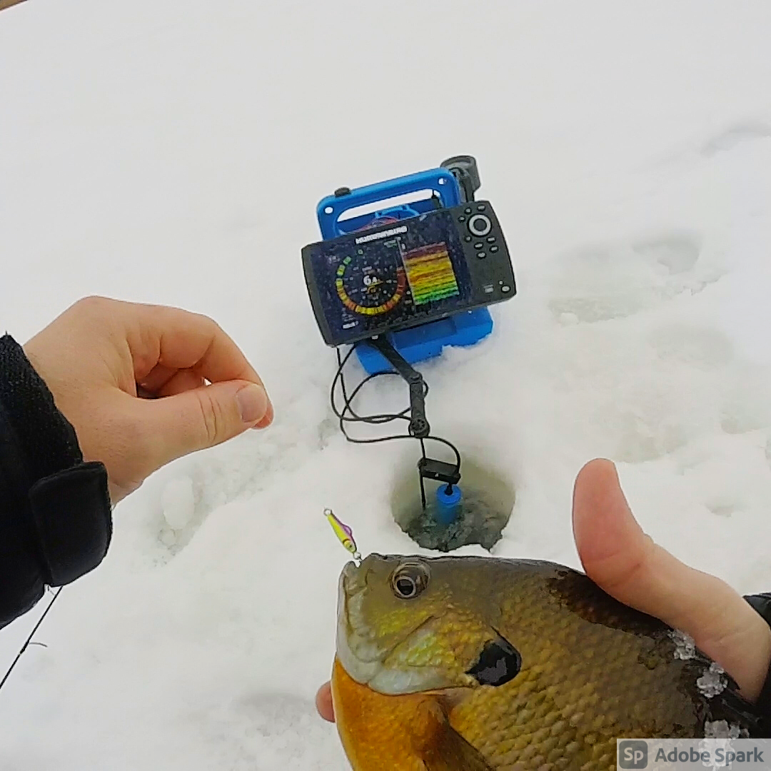Any advice on using spoons for crappies or sunfish? - Ice Fishing Forum -  Ice Fishing Forum