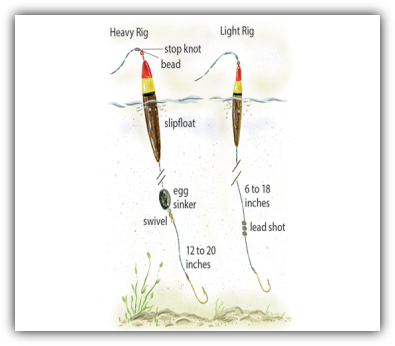 Slip Bobber- Tangled - Walleye & Sauger - Walleye & Sauger