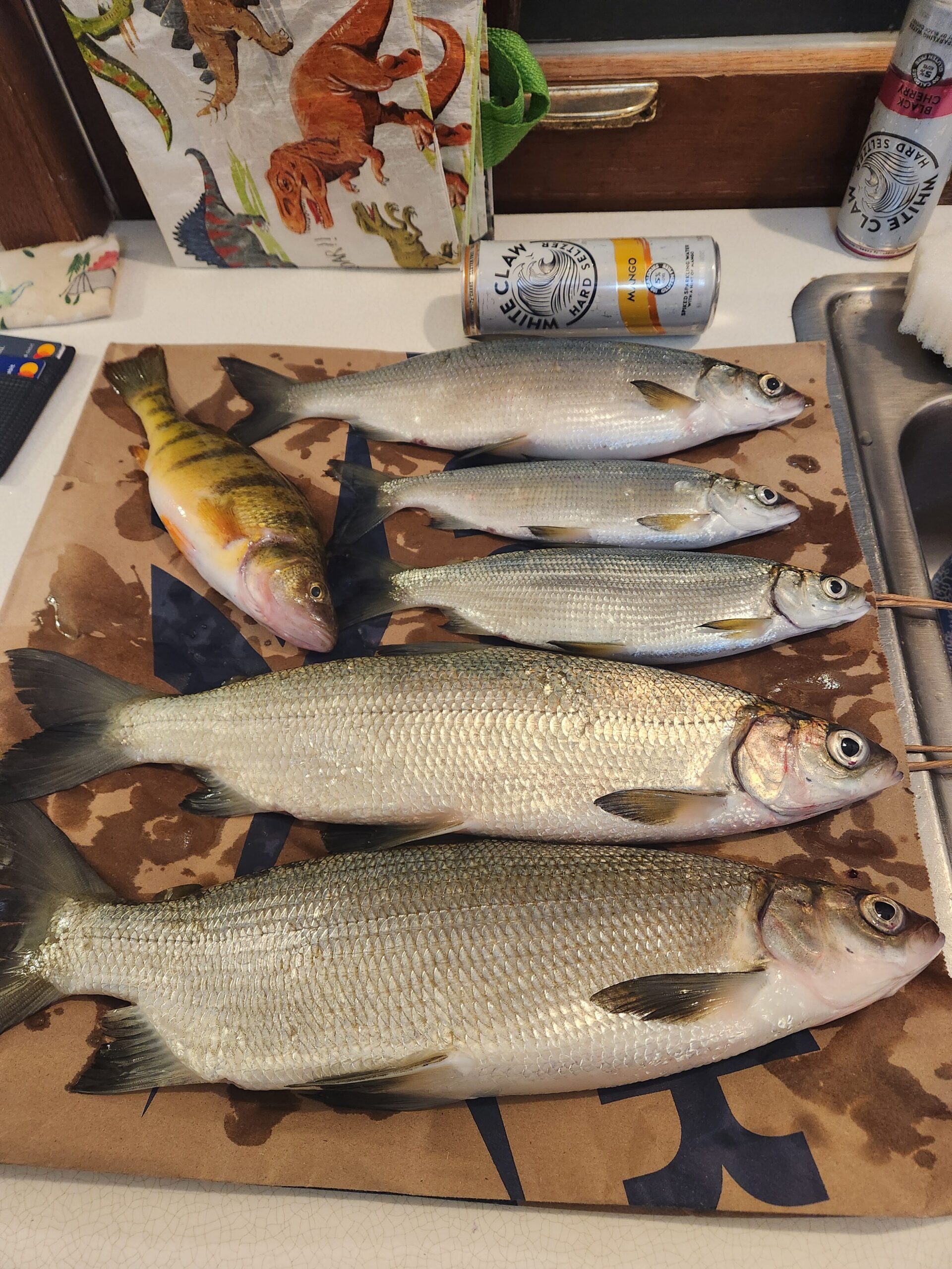 Leech Lake Report. - Leech Lake - Leech Lake