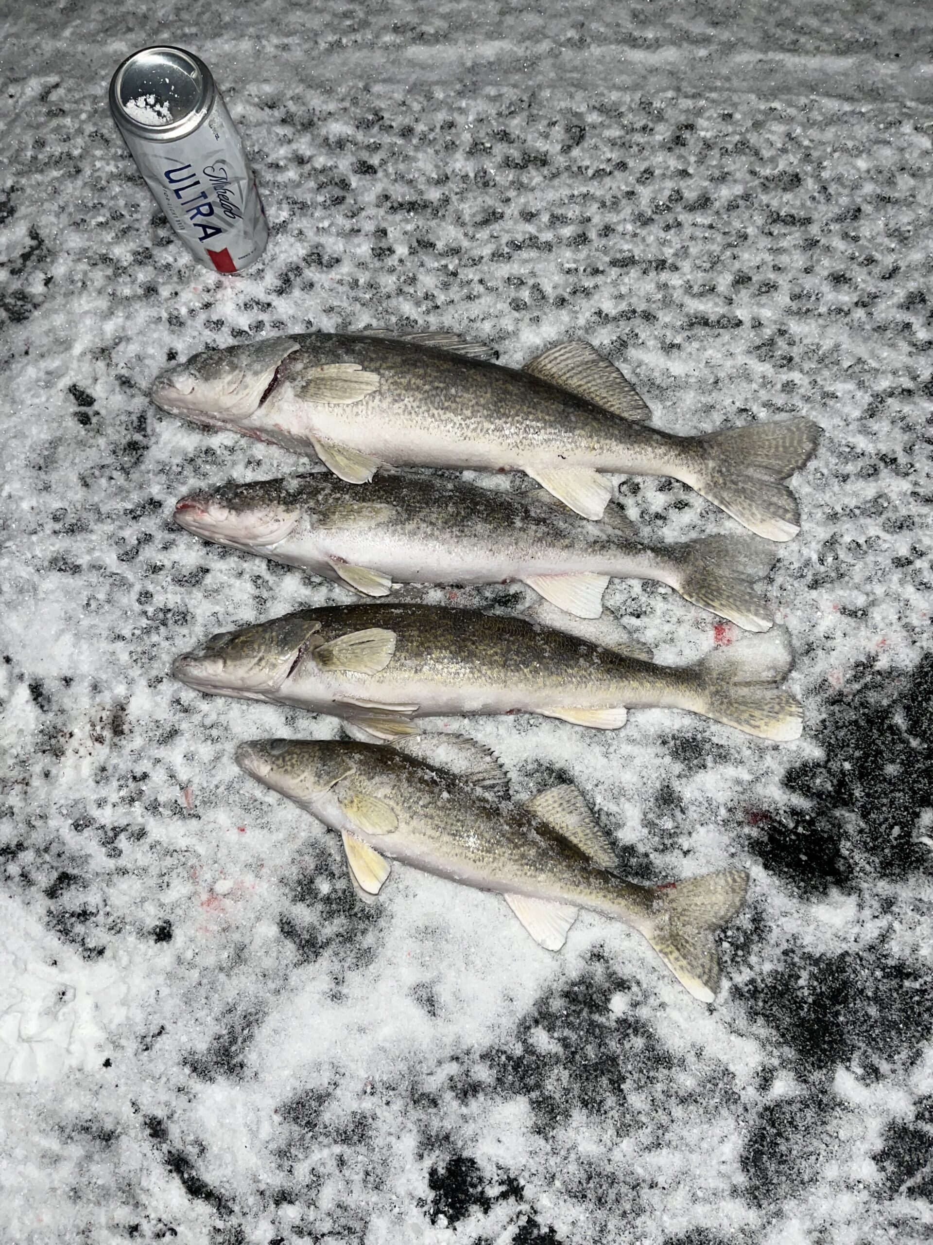 Ice Fishing Walleyes! Deadstick or Jigging? First Fish Of The