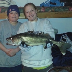 Profile picture of walleye33