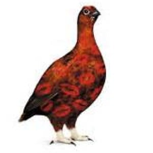 Profile picture of TheFamousGrouse