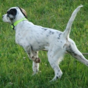 Profile picture of to_setter