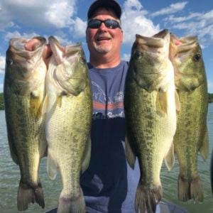 Wacky rigged worms – Hook and Rigging choice? - General Discussion Forum -  General Discussion Forum